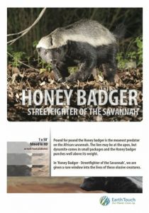 Ultimate Honey Badger 2013