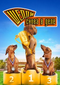 Шелли снова в деле: Часть 1 2013