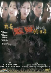 Чёрная кошка 3: В тюрьме 2000