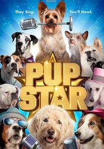 Звездный щенок 2016