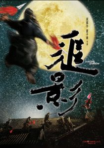 В погоне за тенью 2009