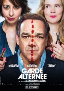 Совместная опека 2017