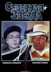Северная звезда 1982