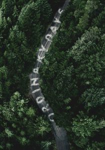 Обычные дни 2017