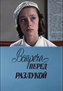 Встреча перед разлукой 1985