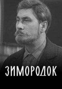 Зимородок 1972