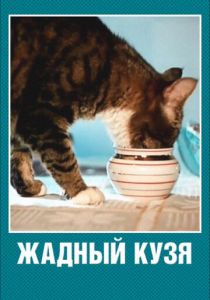 Жадный Кузя 1969