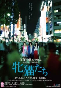 Кошачий рассвет 2017