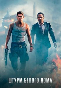 Штурм Белого дома 2013