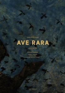 Ave Rara 2019