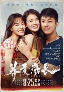 Дикие травы 2020