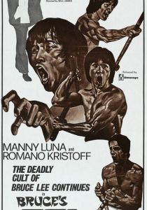 Мстительный кулак Брюса 1980