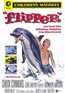 Флиппер 1963