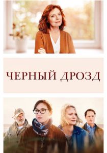 Чёрный дрозд 2019