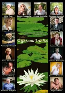 Одолень-трава 2014