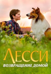 Лесси. Возвращение домой 2020