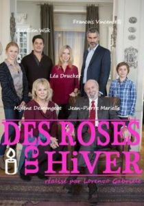 Зимние розы 2014