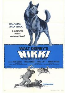 Дикий пес Севера 1961