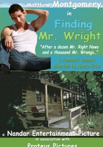 В поисках мистера Райта 2011