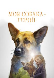Моя собака - герой 2018
