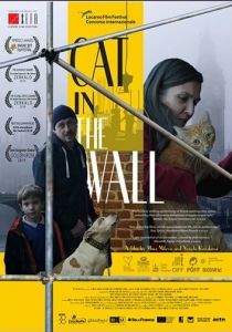 Кот в стене 2019