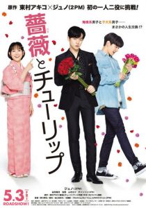 Роза и тюльпан 2019