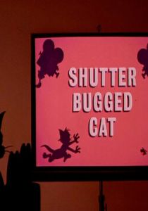 Кот скрытой камерой 1967