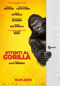 Attenti al gorilla 2019