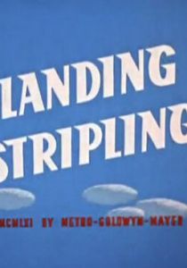 Желаем мягкой посадки 1962