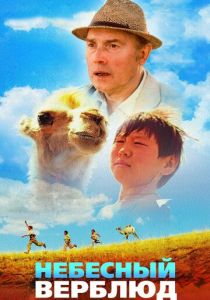 Небесный верблюд 2015