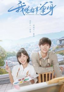 Профессионал-одиночка 2020