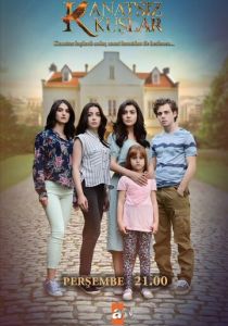 Птицы без крыльев 2017