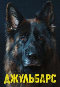 Джульбарс 2017