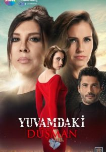 Враг в моем доме 2018