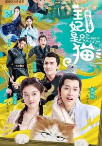 Принцесса-кошка 2020