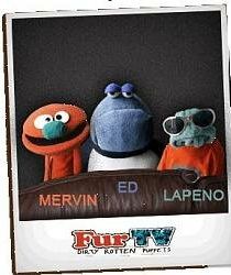 Мохнатики 2008