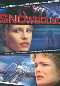 Занесенный снегом 2001