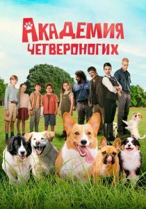 Академия четвероногих 2024