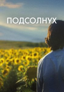 Подсолнух 2023