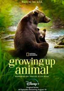 Growing Up Animal 2021