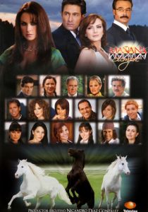 Завтра – это навсегда 2008