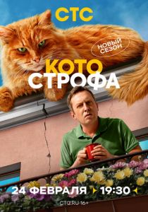 Котострофа 2023