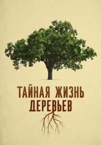 Тайная жизнь деревьев 2020