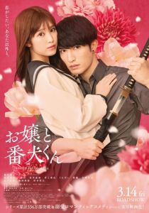 Мой телохранитель 2025