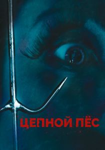 Цепной пес 2010