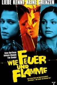 Как огонь и пламя 2001