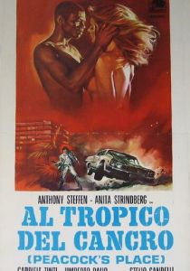 Тропик Рака 1972