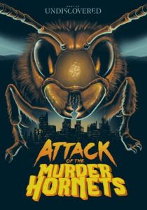 Нападение шершней-убийц 2021