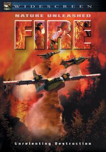 Стихия огня 2004