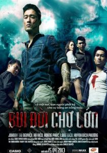 Китайский квартал Чолон 2013